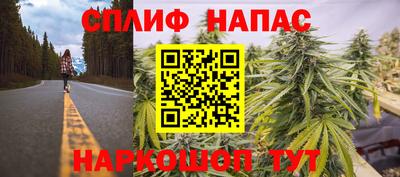 прущие крисы Славянск-на-Кубани