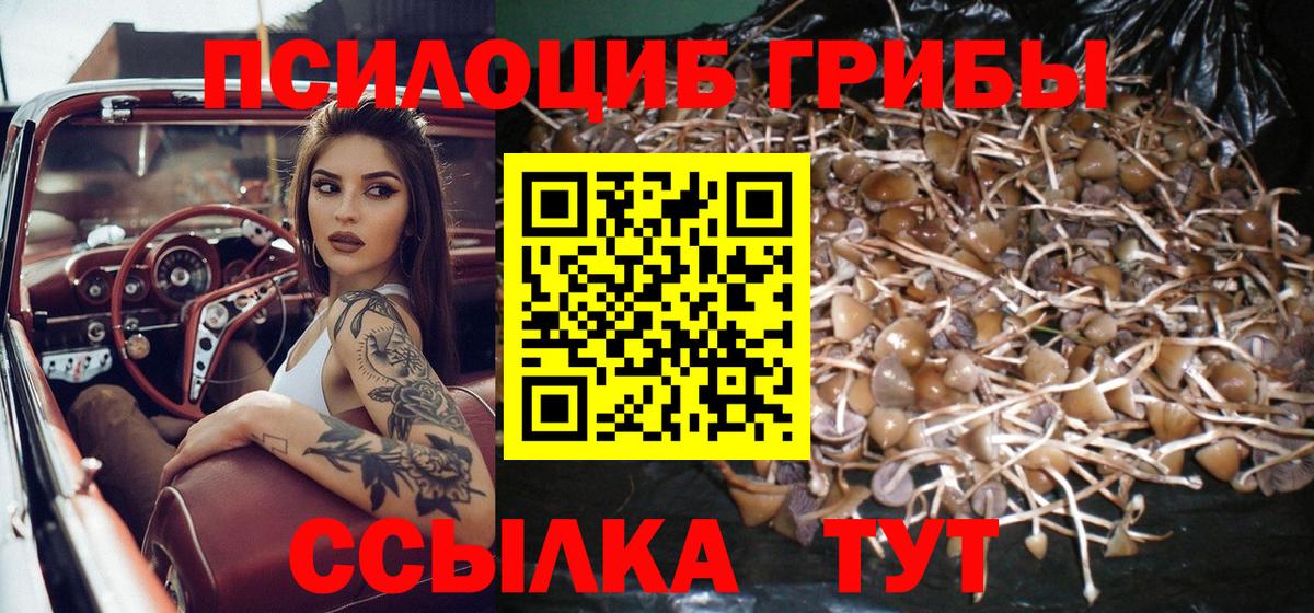 Псилоцибиновые грибы мухоморы Амурск