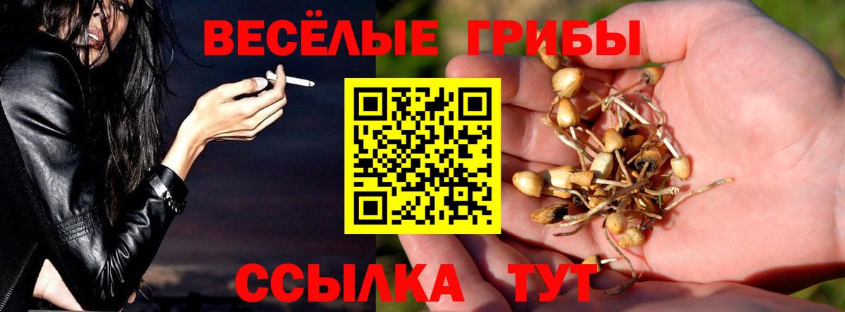 Псилоцибиновые грибы прущие грибы  Вход с VPN  Амурск 